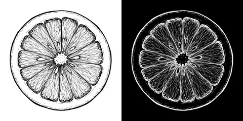 Isolated vector image of lemon slice, two designs on transparent and black background, pencil drawing, chalk drawing
