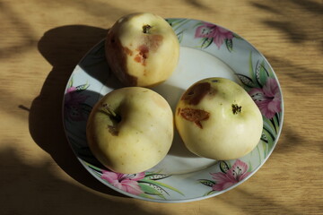 rotten apples are lying on a plate
