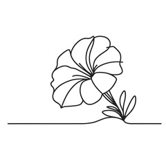 Fototapeta premium Morning Glory in minimalist style in black and white