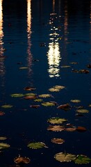 Overhead shot of lily pads floating on a dark blue pond, showcasing the beauty and tranquility of nature in a serene and vibrant aquatic environment