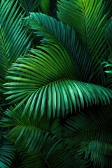 Close-up of lush tropical palm fronds