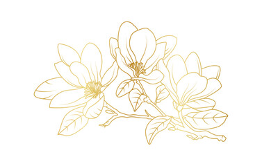 Golden magnolia flowers line art isolated on white background. Luxury magnolia floral design elements for invitation, wedding, wallpaper, print template, vector illustration
