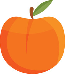 vector illustration of an orange fruit