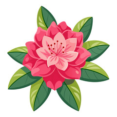  rhododendron vector illustration  silhouette on white background