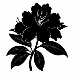  rhododendron  vector illustration silhouette on white background