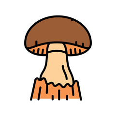 mushroom fruiting color line icon for digital and print projects.