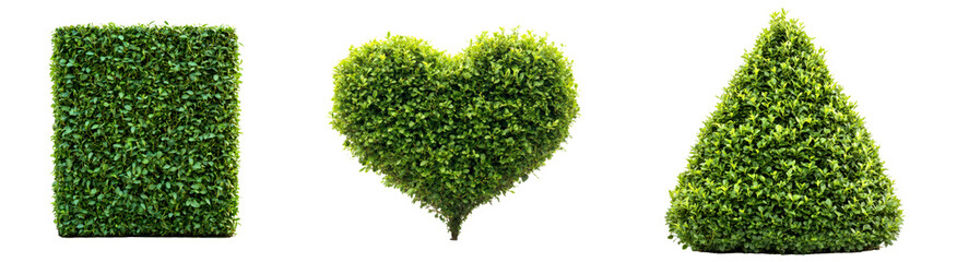 Naklejka premium Green Plant Shapes in Various Forms for Nature and Garden Decor Isolate on Transparent Background, cutout, png