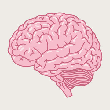 Pink Glowy Pastel Brain Vector Illustration for Mental Health