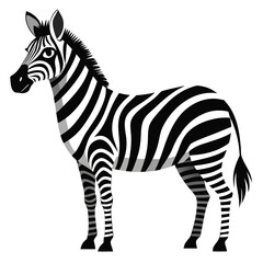Zebra Pattern Illustration