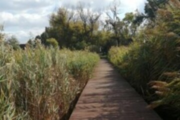 Ösvény a vízparton