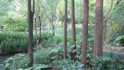 chinese garden in shanghai