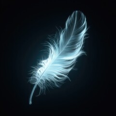 Glowing feather, light blue hue, dark background