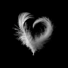 Obraz premium Delicate white feather artfully arranged in a heart shape against a black background