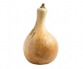 Natural dried gourd vessel isolated on transparent background