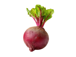 Whole beet with green leaves and red stem on black root vegetable, Isolated, Png Transparent Background
