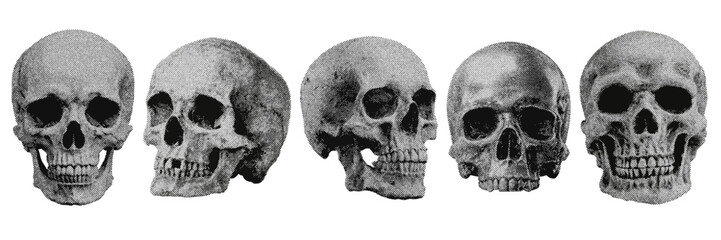 Set of human skull halftone grunge vector design elements