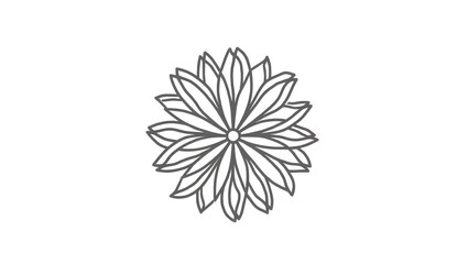 Line Art Chrysanthemum Flower &ndash; Hand Drawn Floral Illustration