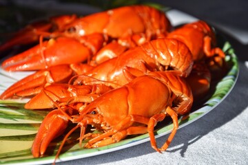 On the plate are crayfish boiled in beer with dill. Crayfish parties in Sweden.