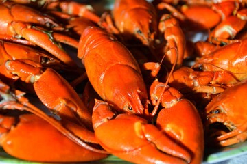 On the plate are crayfish boiled in beer with dill. Crayfish parties in Sweden.