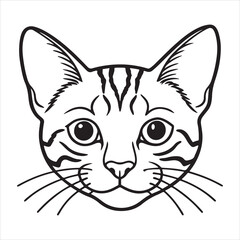 American Shorthair Charm: Unveiling the Viral Appeal of a Classic Companion