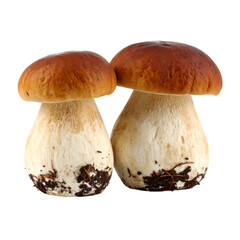 Two large, round mushrooms with brown caps and white stalks, showcasing their fresh and organic appearance.