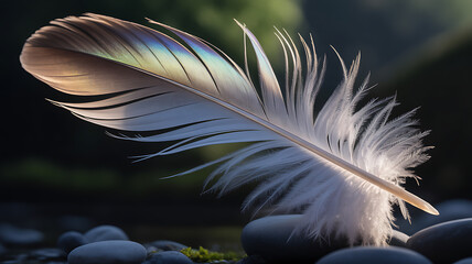 Obraz premium A small iridescent feather is delicately balanced on smooth river stones.