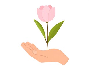 Hand holding a pink tulip