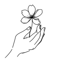 Hand holding flower, line art