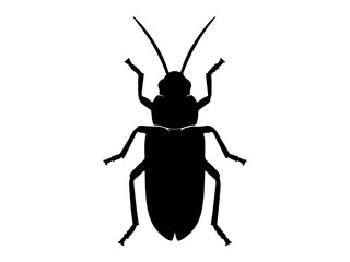 Cockroach