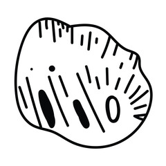Sea shell shape in minimalist contour drawing style.