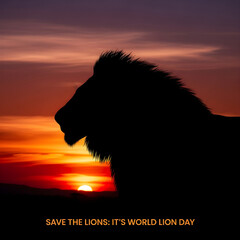 Naklejka premium Majestic male lion silhouette against a dramatic sunset sky.