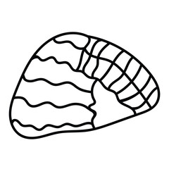Contour illustration of a marine sea shell.