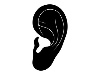 Ear