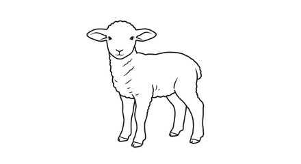 Simple line drawing of a young lamb standing