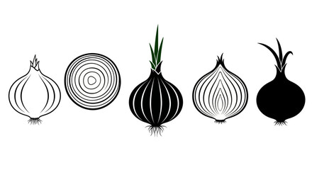 Stylized onion illustrations in black and white with green accents