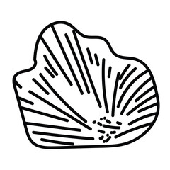 Hand-drawn vector illustration in minimal aesthetic. Stylized outline of a sea shell for nature-inspired projects.