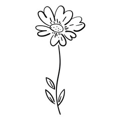 Minimal vector botanical element. Floral contour drawings in a soft, romantic style.