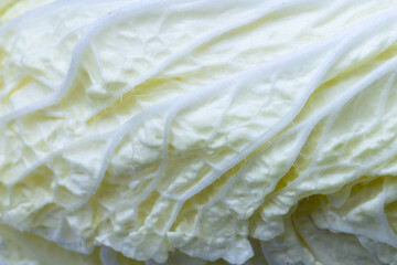 Macro cabbage,White cabbage in section. Cut cabbage. Light leaves of early cabbage,Close-up of cabbage leaf surface, Macro shot of cabbage leaf. 