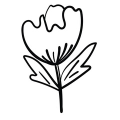 Minimal contour floral element in elegant linear style.