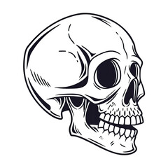 Naklejka premium vector illustration of a skull 