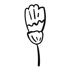 Elegant hand-sketched flower for decorative illustrations.