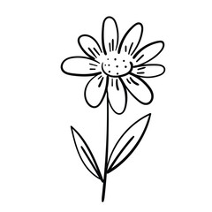 Botanical contour illustration. Floral motif with nature-inspired simplicity.