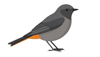 Obraz premium Illustration of a bird