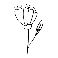 Simple flower contour vector drawing. 