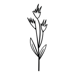 Vector outline of floral element, perfect for nature-inspired designs.