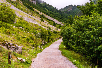 Paisaje en Bulnes, Picos de Europa.