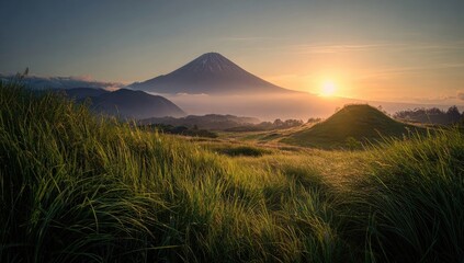 Sunrise over a volcanic landscape. Lush, grassy plains gently slope towards a majestic, snow-capped volcano, bathed in the golden light of sunrise