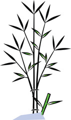 Modern Bamboo Leaf Design – Colorful Digital Botanical 