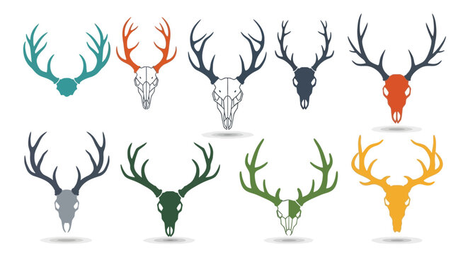 Minimalist Deer Skull and Antlers Various Style Decoration Animal Illustration