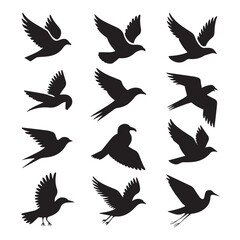 Obraz premium Vector art of a collection of black bird silhouettes in various flying poses, isolated on a white background Vector Art